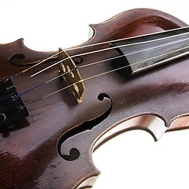 Legnicki Rok Bilsego