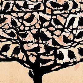 Legnica Cantat 46 rusza w piątek