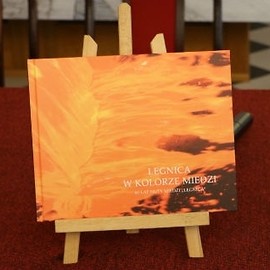 Legnica w kolorze miedzi