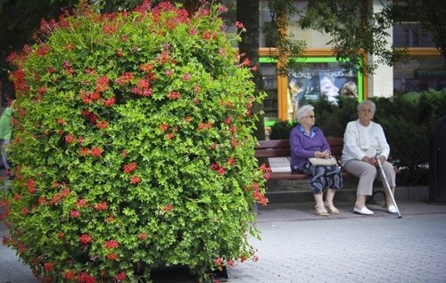 Rekrutacja na Uniwersytet Trzeciego Wieku
