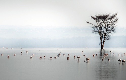 Powitanie z Afryką w Galerii Niello