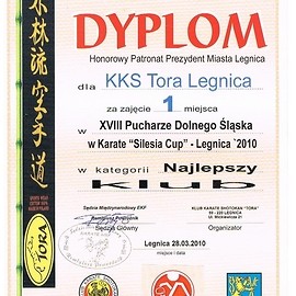 KKS TORA z Legnicy najlepszy w Pucharze Dolnego Śląska w Karate WKF – Silesia CUP 2010