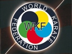 Europejski Puchar Miedzi w Karate