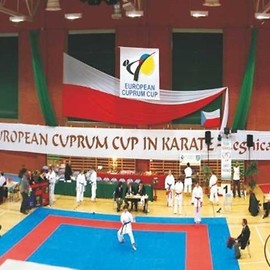 550 karateków w Legnicy