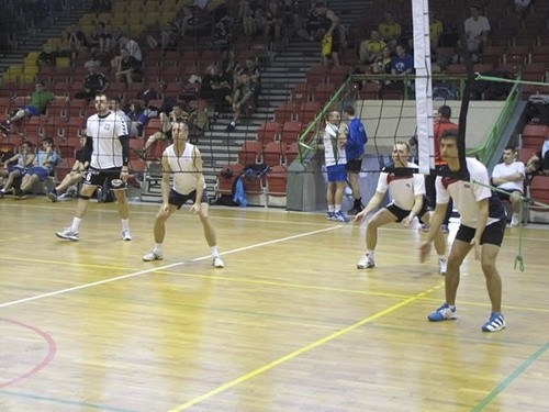 Siatkówka z blaszką ciast