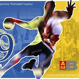 Turniej piłki ręcznej Lion Cup