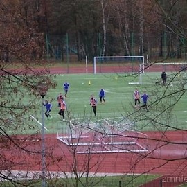 Miasto nagradza wybitnych sportowców