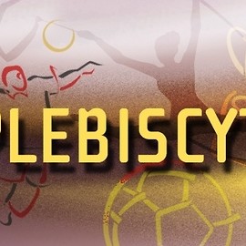 Wybieramy najlepszych sportowców i trenerów roku 2013