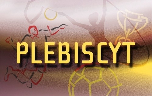 Wybieramy najlepszych sportowców i trenerów roku 2013