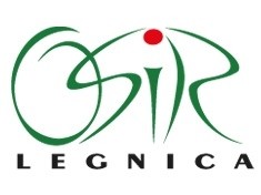 W niedzielę zagrają trójki koszykarskie