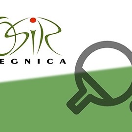 Wkrótce Mistrzostwa Legnicy w Tenisie Stołowym