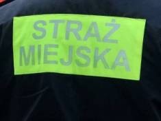 Kowal zawinił – Cygana powiesili