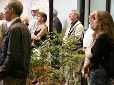 „Niemców portret własny”. Projekt według legnickiego pomysłu