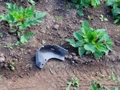 Kolejny akt wandalizmu w Parku Miejskim