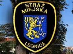 Bezdomne zwierzęta pod skuteczną opieką Straży Miejskiej