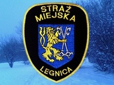 Elektryzujący Strażnicy Miejscy
