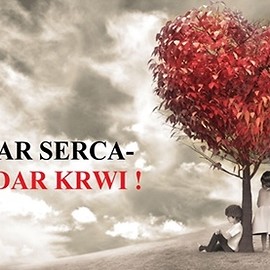 Dar krwi darem serca