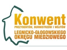 Samorządowcy LGOM o problemach miast i gmin regionu