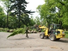 Park Miejski pięknieje w maju