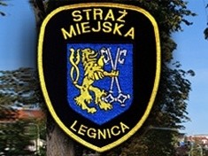 Straż Miejska odebrała właścicielowi głodzone i chore psy