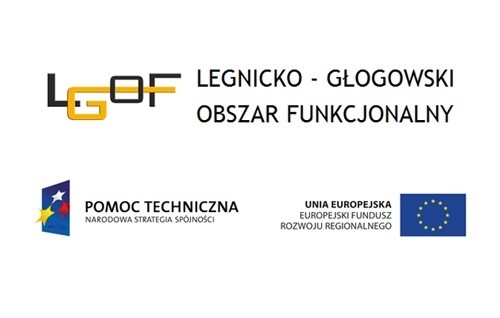System transportu w Legnicko-Głogowskim Obszarze Funkcjonalnym do konsultacji