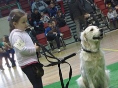 Wystawa piesków, kotków i gryzoni