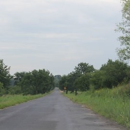 Przebudowa ulicy Rzeszotarskiej
