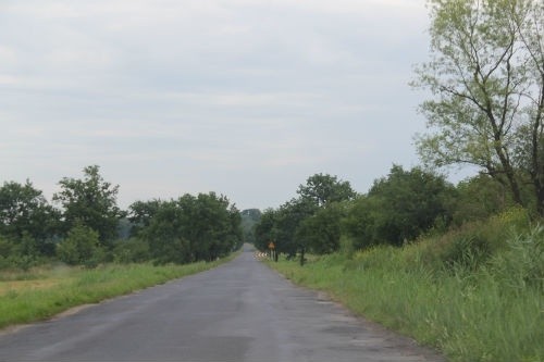 Przebudowa ulicy Rzeszotarskiej