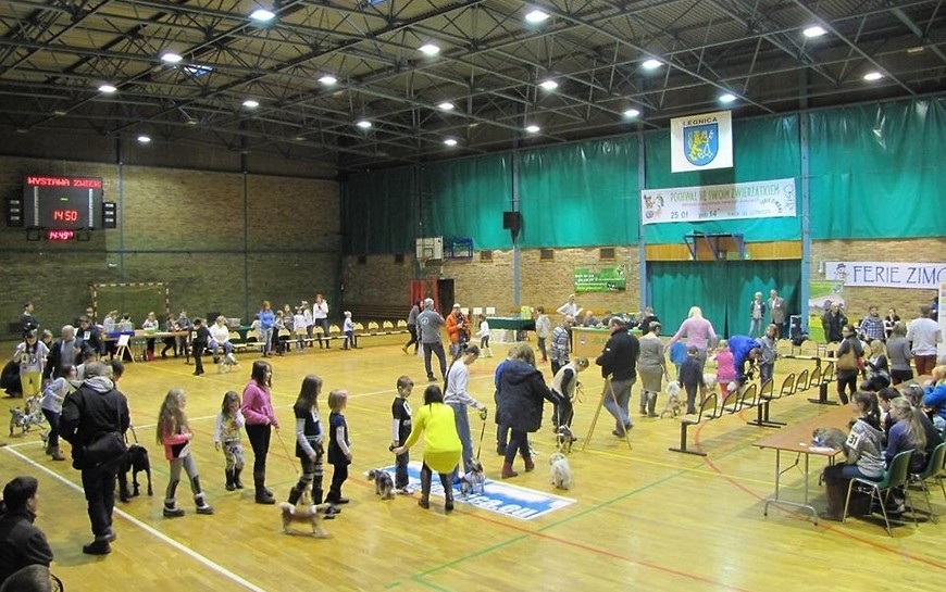 Pochwal się swoim zwierzątkiem