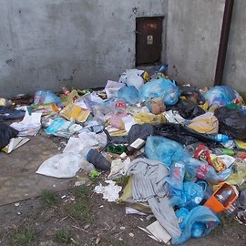 Tylko w ciągu miesiąca miasto interwencyjnie zebrało ponad siedem ton śmieci