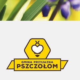 W Legnicy wolno będzie hodować pszczoły miodne ale łagodne