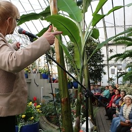 powiększ zdjęcie: Dzień Kobiet w Palmiarni z Marzeną Kipiel -Sztuką