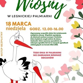 Palmiarnia zaprasza w niedzielę