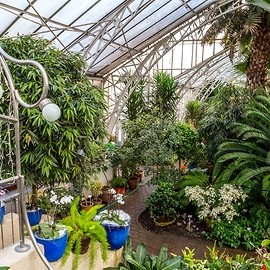 LPGK wygrało przetarg na utrzymanie palmiarni