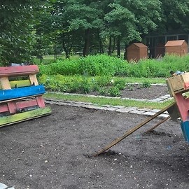 powiększ zdjęcie: Zrób w palmiarni własny gródek warzywny i weź go do domu