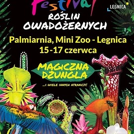 Zapraszamy w weekend do krwiożerczej dżungli w palmiarni