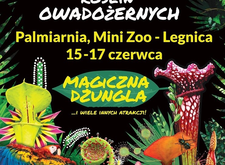 Zapraszamy w weekend do krwiożerczej dżungli w palmiarni