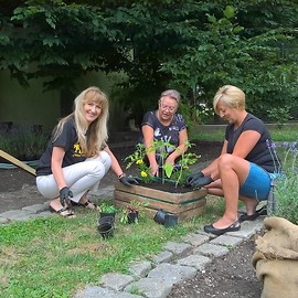 powiększ zdjęcie: Mali ogrodnicy stworzyli niezwykłe ogródki w palmiarni