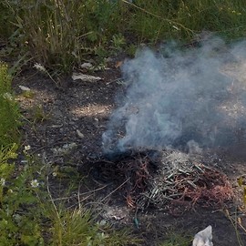 powiększ zdjęcie: Opalał przewody elektryczne, dostał mandat