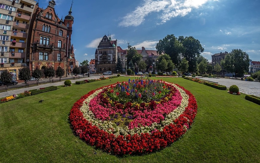 Zagłosuj na Legnicę, najpiękniej ukwiecone miasto