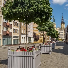 powiększ zdjęcie: Zagłosuj na Legnicę, najpiękniej ukwiecone miasto