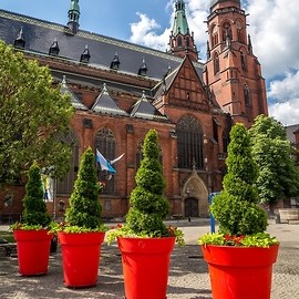powiększ zdjęcie: Zagłosuj na Legnicę, najpiękniej ukwiecone miasto
