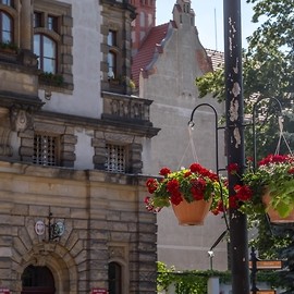 powiększ zdjęcie: Zagłosuj na Legnicę, najpiękniej ukwiecone miasto