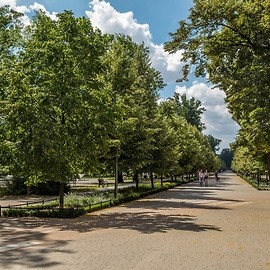 powiększ zdjęcie: Zagłosuj na Legnicę, najpiękniej ukwiecone miasto