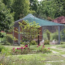 Przyjdź w niedzielę do mini-zoo i zbuduj domek dla owadów