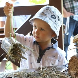 powiększ zdjęcie: Legniczanie budowali domki dla owadów