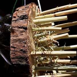 powiększ zdjęcie: Legniczanie budowali domki dla owadów