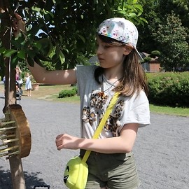 powiększ zdjęcie: Legniczanie budowali domki dla owadów