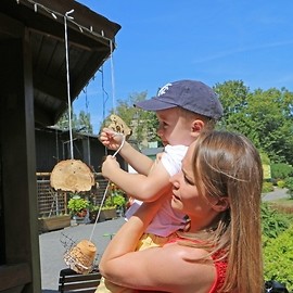 powiększ zdjęcie: Legniczanie budowali domki dla owadów