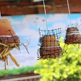 powiększ zdjęcie: Legniczanie budowali domki dla owadów